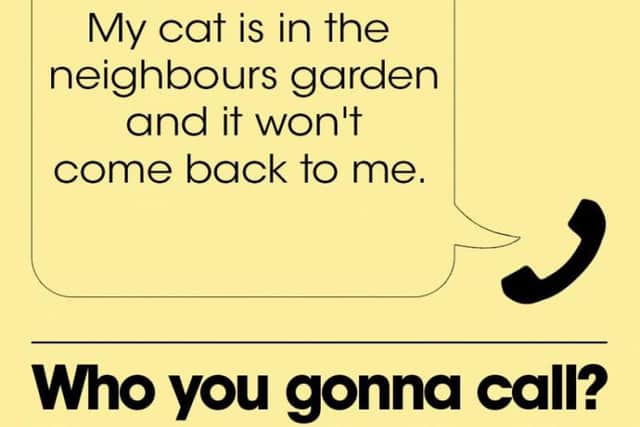 Caller calls police over cat.