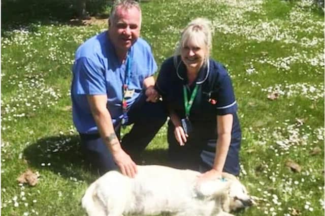 Misty with staff at the hospital.