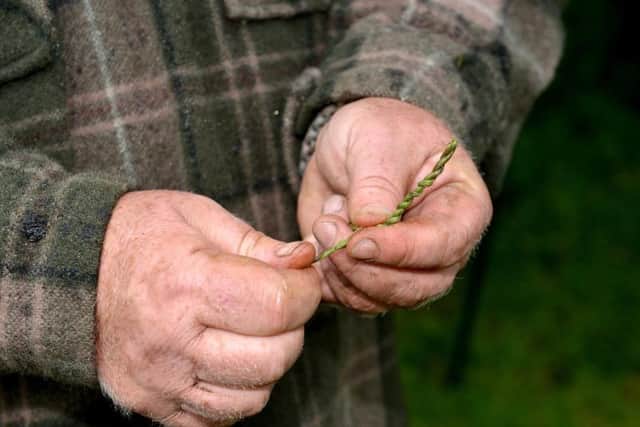 Bushcraft instructor Martin Rollin of Silverback Bushcraft making string from nettle stems