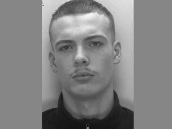 Have you seen Dillon Stone?