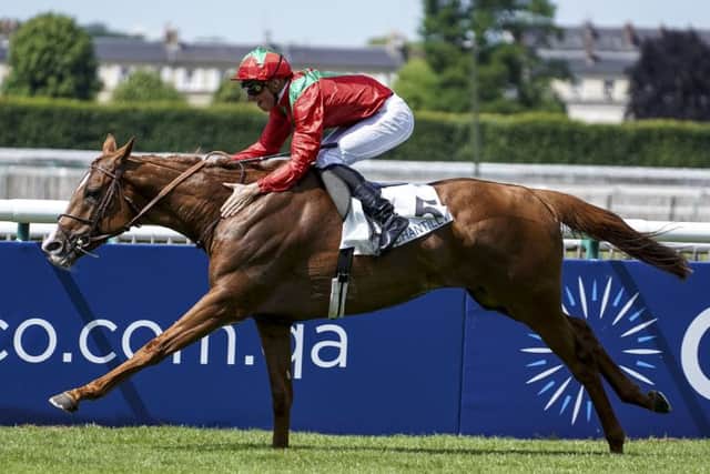 Waldgeist, trained in France by Andre Fabre, is fancied to land the big race of the day on day two of Royal Ascot (PHOTO BY: Alan Crowhurst/Getty Images)