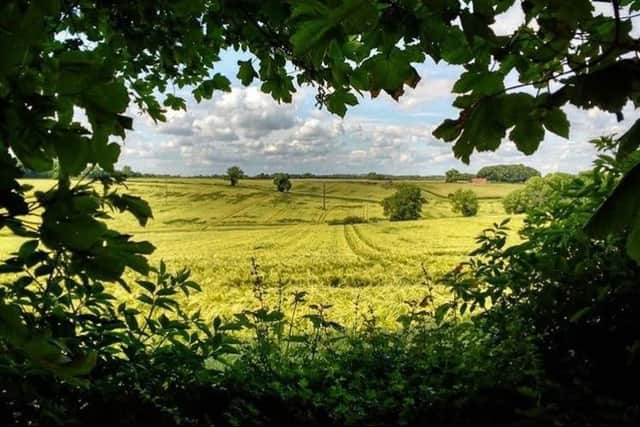 This summery shot of Teversall was taken by Instagram user @ayup_me_duck. Tag us at @chadnews to feature