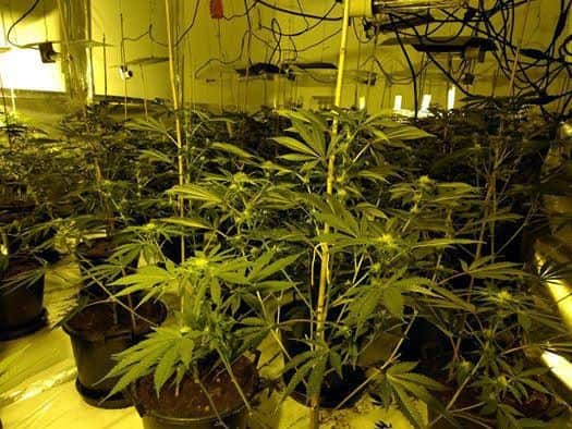 Picture by Warsop Police.