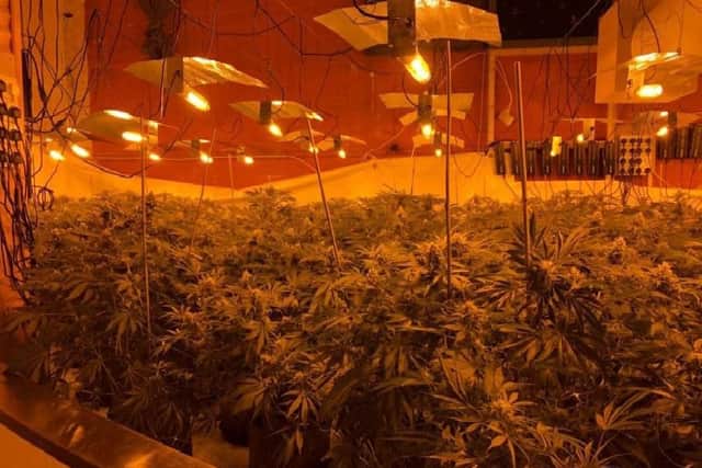 Signs to spot a cannabis farm