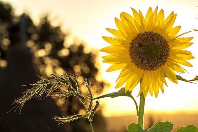 Have a lovely day!