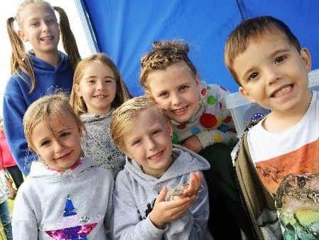 Seb Parsons, 4, and Seren Parsons, 7, Orla Cullen 8, and Nieve Cullen, 11, Jude Draycott, 7 and Annis Draycott 4, check out  a Rankins dragon from the White Post Farm.