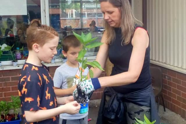 Children planted bell peppers as part of gardening activity