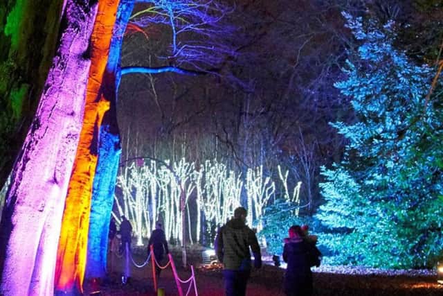 Christmas at Belton will light up Belton House grounds from November 28 to December 30