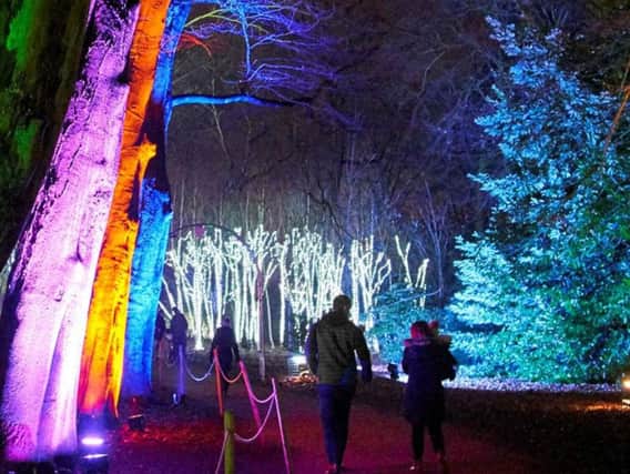 Christmas at Belton will light up Belton House grounds from November 28 to December 30