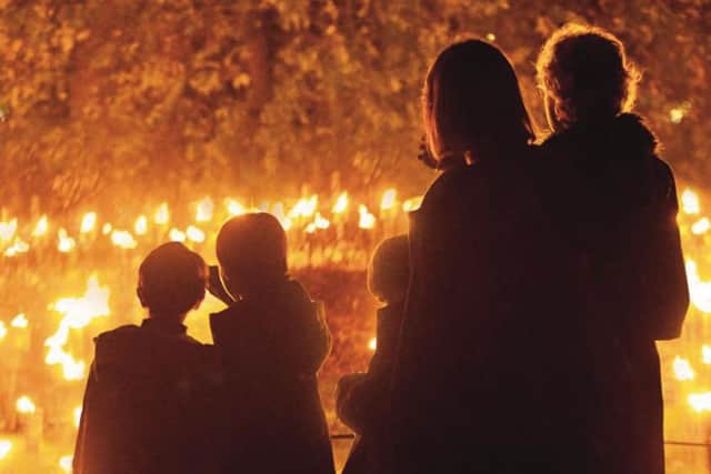 Watch the sculptural Fire Garden as it flickers and crackles