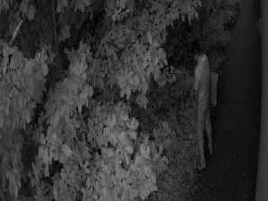 CCTV footage shows thedeliveryman seemingly urinating outside the house