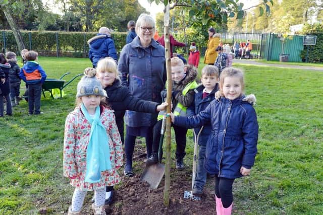 Children from Hillocks primary plant a ttree with acting headteacher Margaret Newcomb.