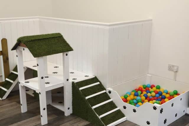 The doggie play area upstairs