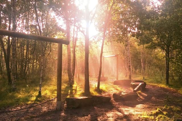 Autumn mist in adventure land by Antony Stocks.