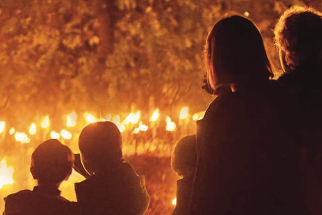 Fire garden