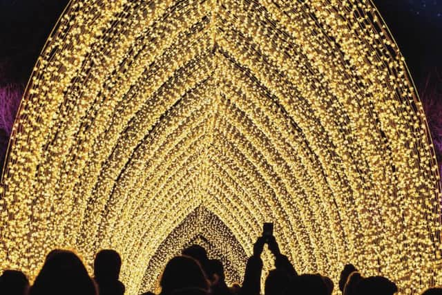 Cathedral Of Light