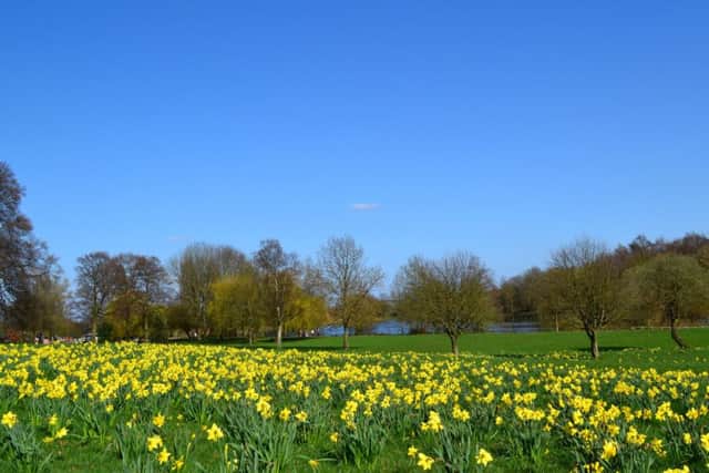 Sutton Lawn.