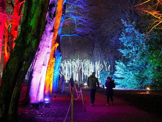 Christmas At Belton will light up the gardens at Belton House from November 29 to December 30