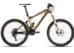 Bike Stolen