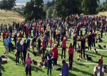 Guinness World Record attempt at the most dogs in a simultaneous dog stay