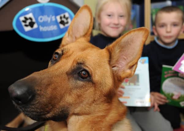 Pets as Therapy visits Abbey Hill Primary School with their dog 'Olly Murs' to help the children gain confidence with their reading.