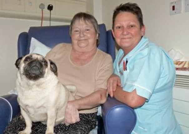 Pictured is Linda Bradwell and her beloved pug Penny at Ashgate Hospice with healthcare assistant Elaine Biggs.