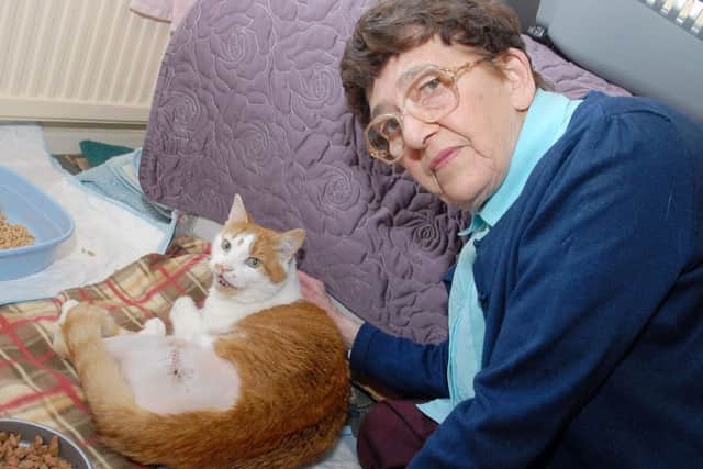 Shot cat Chesterfield. Diana Goodwin with the injured cat.