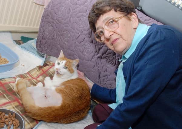 Shot cat Chesterfield. Diana Goodwin with the injured cat.