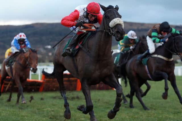 BIG BUCK'S IS BACK! -- the four-time Ladbrokes World Hurdle winner is aming to recapture his glory days at the 2014 Cheltenham Festival (PHOTO BY: David Davies/PA Wire)