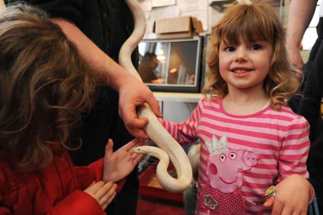 White Post Farm visits Hucknall Library with small animals and reptiles and invite children to come along to pet them. Pictured is Charlotte Cooling 5.
