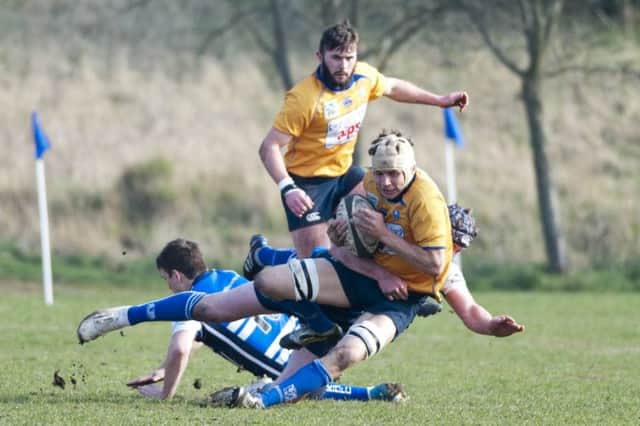 Mansfield Rugby Union Football Club (gold shirts) v Kettering