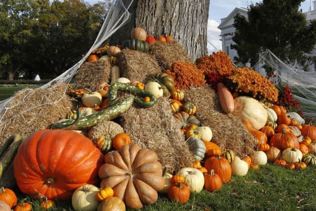 Pumpkins, gourds and other seasonal decorations adorn the driveway on the North Lawn of the White House in Washington, on Halloween, Monday, Oct. 31, 2011. (AP Photo/J. Scott Applewhite)