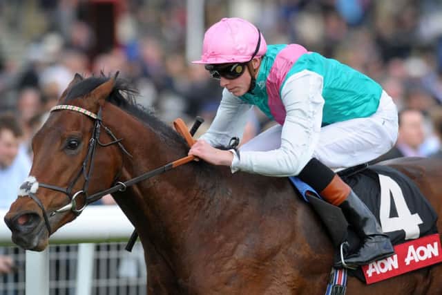 HOT FAVOURITE -- Kingman, who will be the centre of attention at Newmarket this weekend when he attempts to justify shorts odds in the QIPCO 2,000 Guineas (PHOTO BY: Tim Ireland/PA Wire)