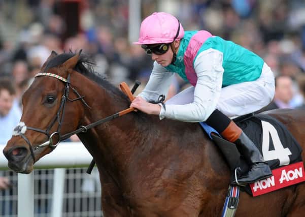 HOT FAVOURITE -- Kingman, who will be the centre of attention at Newmarket this weekend when he attempts to justify shorts odds in the QIPCO 2,000 Guineas (PHOTO BY: Tim Ireland/PA Wire)