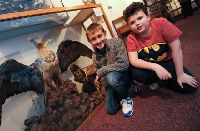 New taxidermy exhibition at Mansfield Museum. Pictured is Jacob Fradgley 11 and Ethan Moss 10.