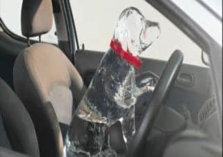 DOGS TRUST RENEWS WARNINGS OVER DOGS IN CARS