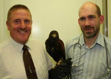 .Dave Steele, and veterinary surgeon Jon Hadley (right ) with Gus the Harris Hawk.