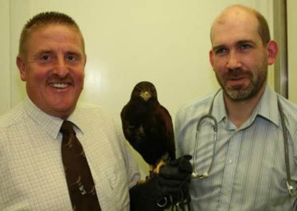.Dave Steele, and veterinary surgeon Jon Hadley (right ) with Gus the Harris Hawk.