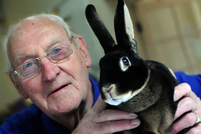 Gordon Taylor, the chairman of the Mansfield Rabbit Club, pictured with an Otter Rex which he took to the Selston show on Saturday.