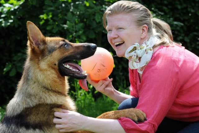 Rose Cullip makes friends with Dodo, who is being re-homed by her dad, John Renshaw of Annesley Woodhouse. Dodo who is an alsation cross, was found abandoned at the Ashfield District Council offices and is around 18 months to two years old. nmac 09-06-14 as 2