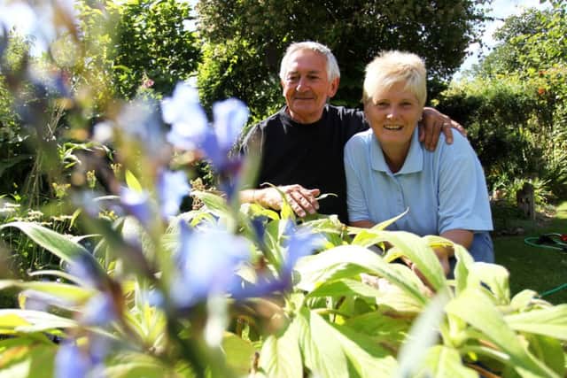 Linda and Ray Heywood are running a plant nursery Echium World from their home in Edwinstowe. nmac-14-07-14 echium ce 1