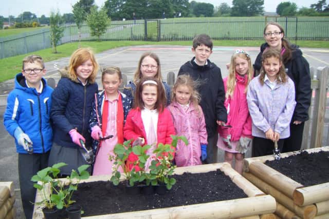 Careful preparation: Berry Hill pupils plant their new raised beds.