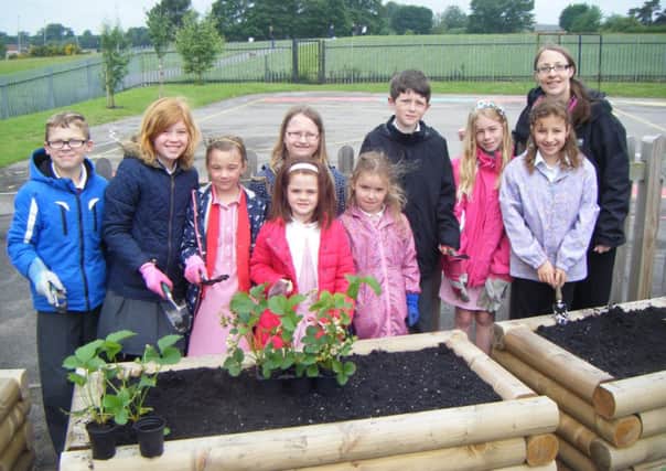 Careful preparation: Berry Hill pupils plant their new raised beds.