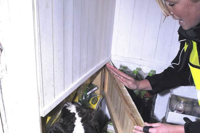 Trading Standards raids on Central Drive (Blackpool) premises-looking for illegal tobacco and cigarettes. "Levi" with items found concealed at a property.