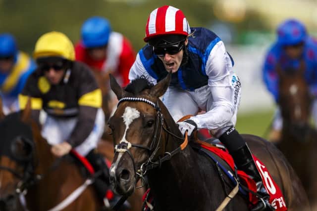 MOVIESTA, ridden by Paul Mulrennan, is Richard 'Scoop' Silverwood's TIP OF THE DAY for today. (PHOTO BY: Chris Ison/PA Wire).