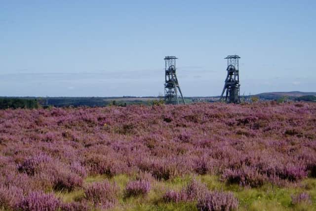 Picture of Vicar water Country Park off Mansfield Road, Clipstone, by Richard Gleed-OwenI think I just caught the heather bloom just before it started to fade - I must mark next year's calendar to remind me to take the same view earlier in August with my better camera too.Regards, RGO