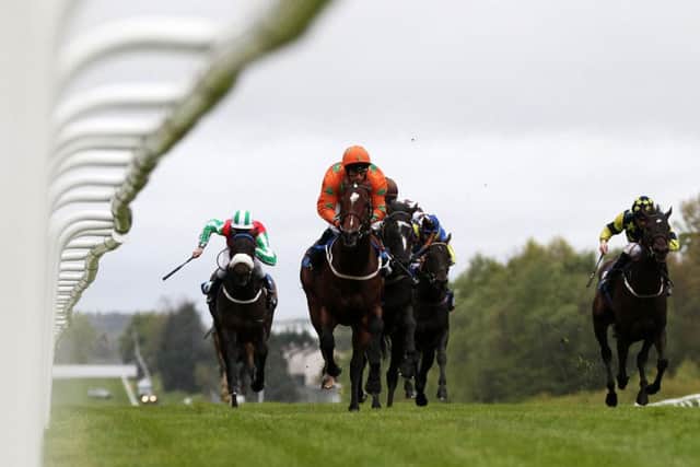 HAMILTON Park, where today's tip runs. (PHOTO BY: Lynne Cameron/PA Wire).