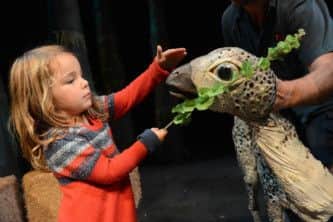 Dinosaur Zoo at Nottingham Theatre Royal