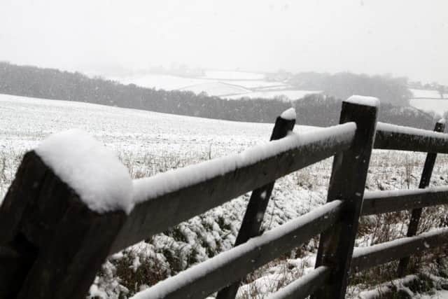 Snow has arrived.