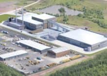 Artist's impression of how the plant might look